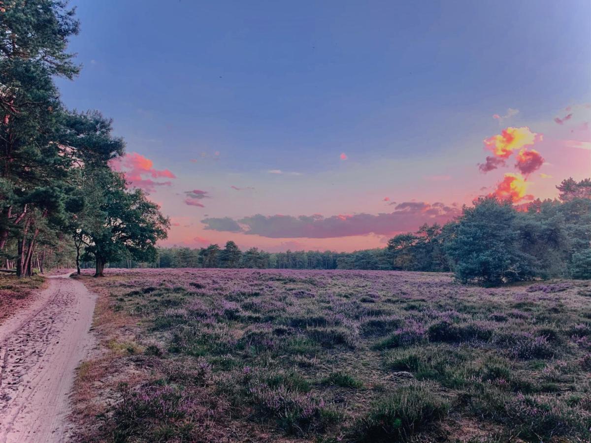 Sluwe Vos: Ontspannen In Het Bos! オッテルロ エクステリア 写真